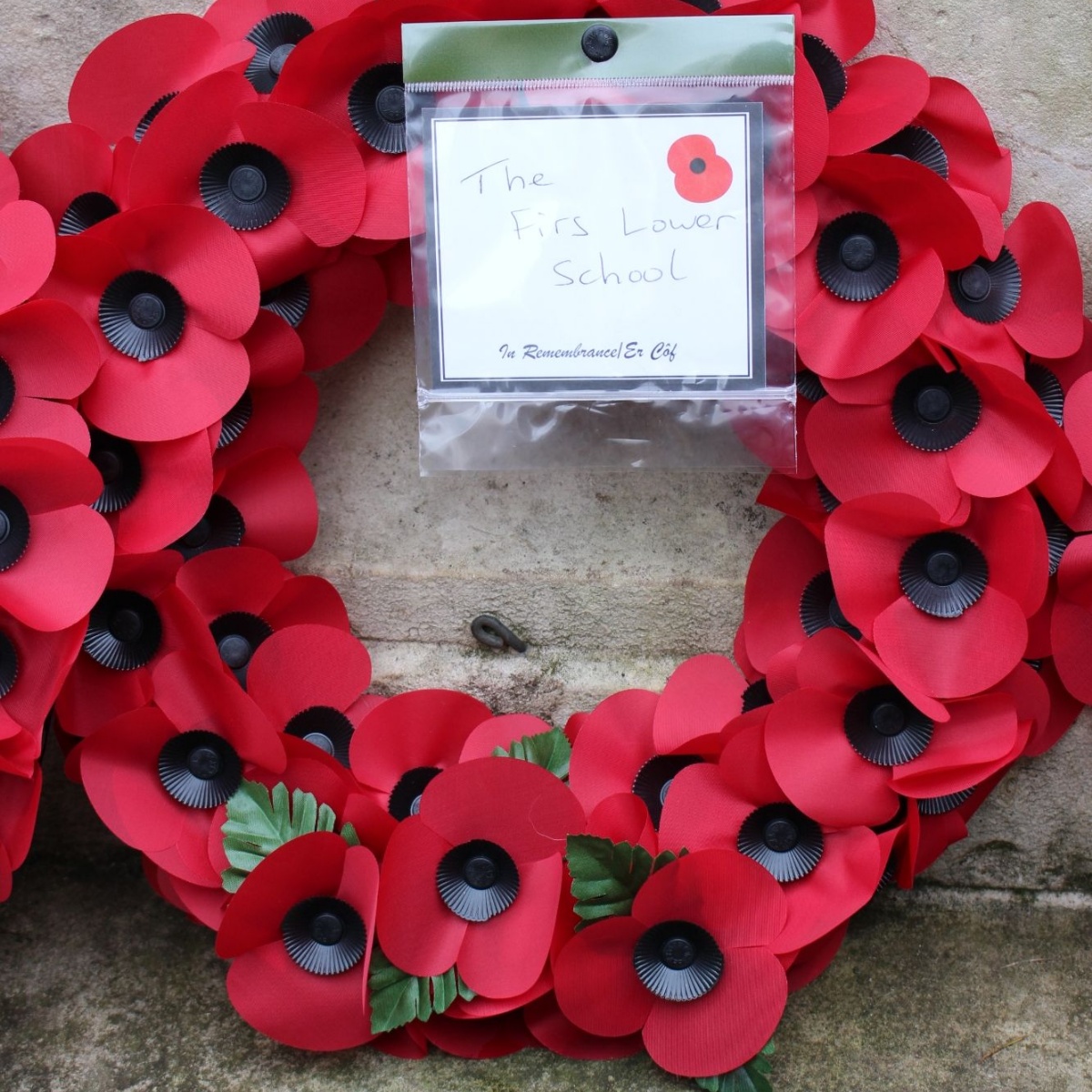 The Firs Lower School - Ampthill Remembrance Day